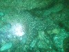 sm_p5183037.jpg