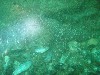 sm_p5183038.jpg