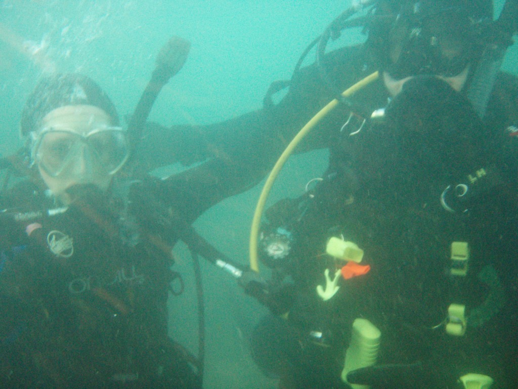 sm_p6073067.jpg