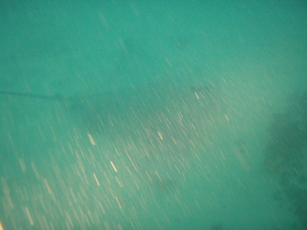 sm_p6073090.jpg