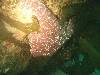 sm_p6073088.jpg