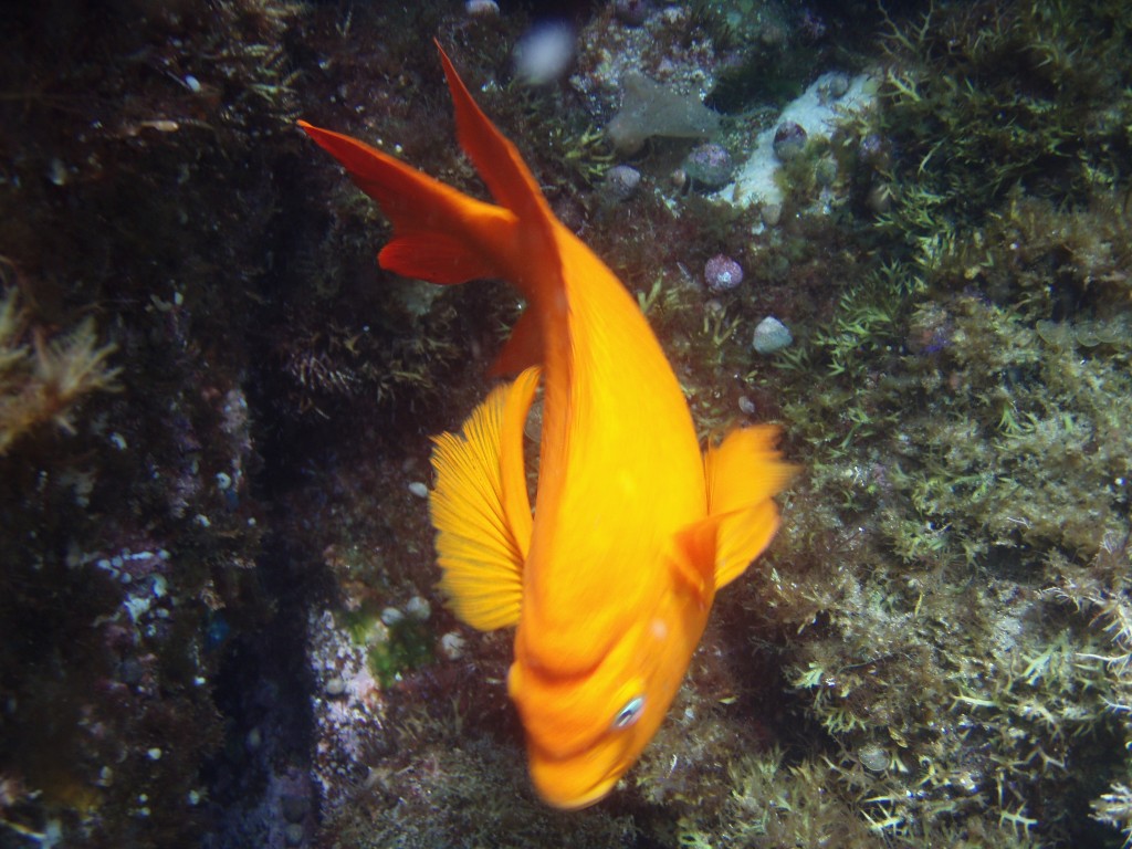 sm_p6283133.jpg