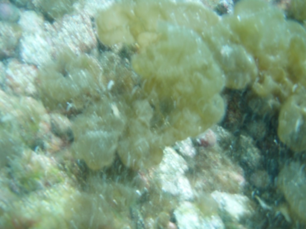 sm_p6283136.jpg