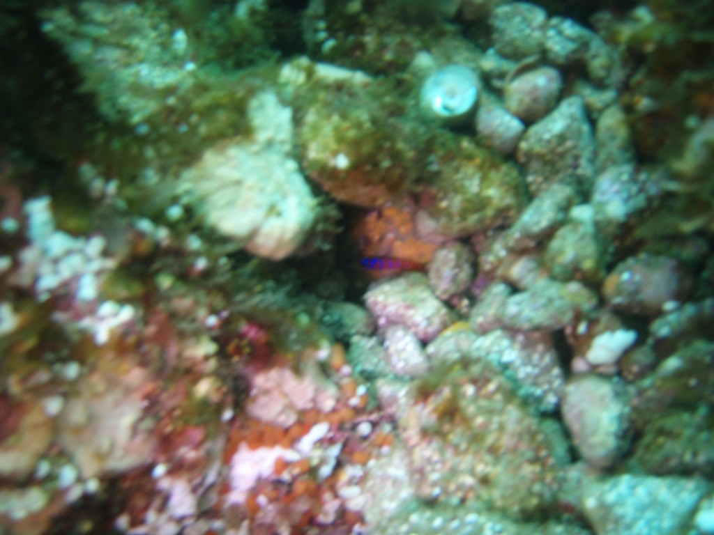 sm_p6283146.jpg