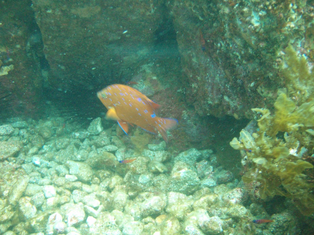sm_p6283148.jpg