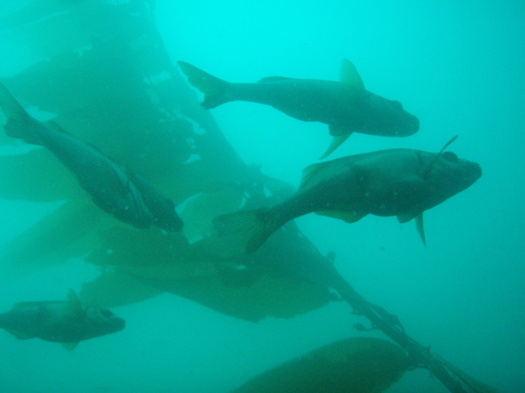 sm_p6283153.jpg