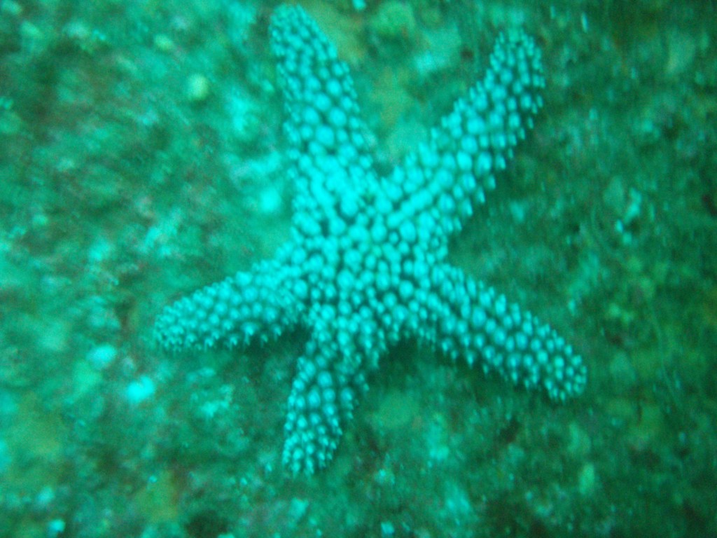 sm_p6283160.jpg
