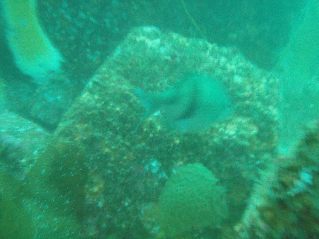 sm_p6283171.jpg