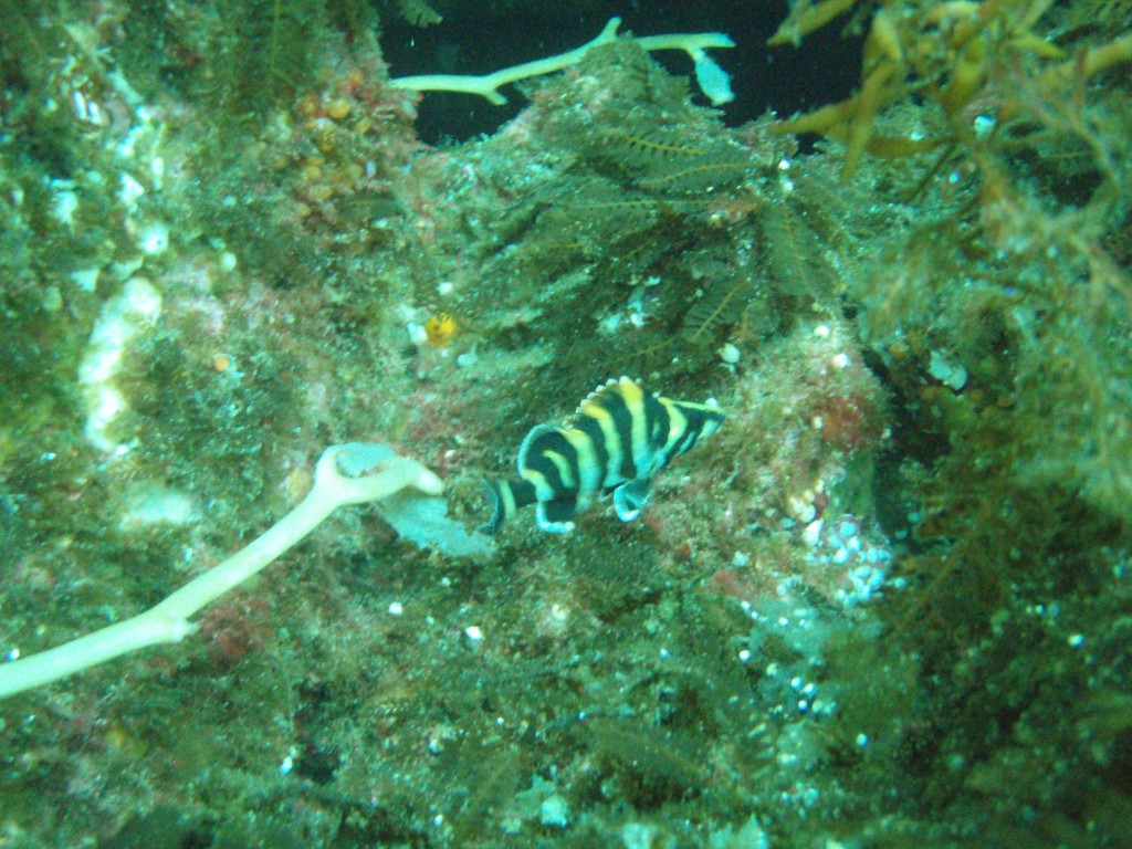 sm_p6283181.jpg