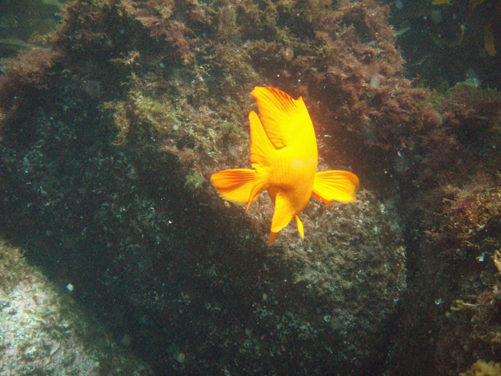 sm_p6283189.jpg