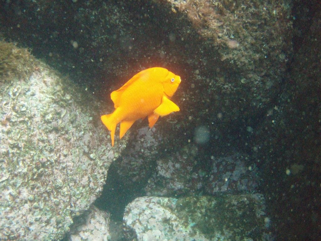 sm_p6283190.jpg