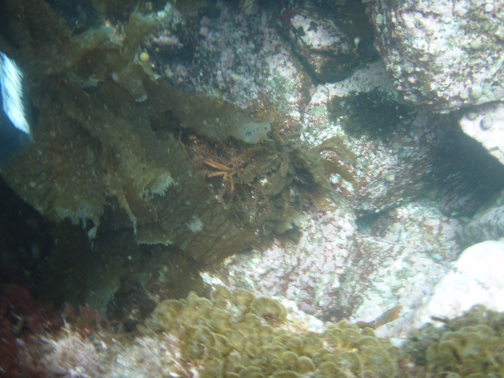 sm_p6283198.jpg
