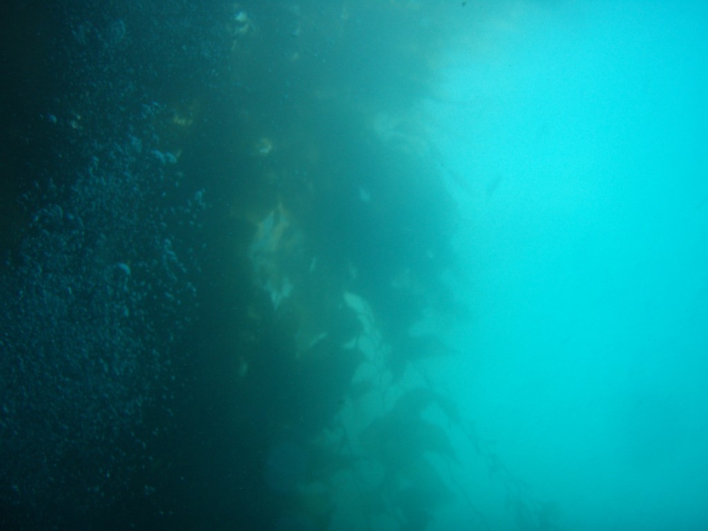 sm_p6283211.jpg