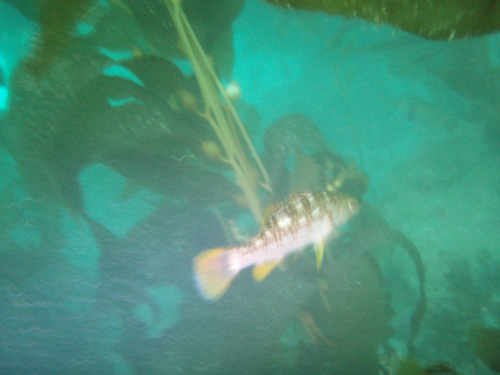 sm_p6283217.jpg