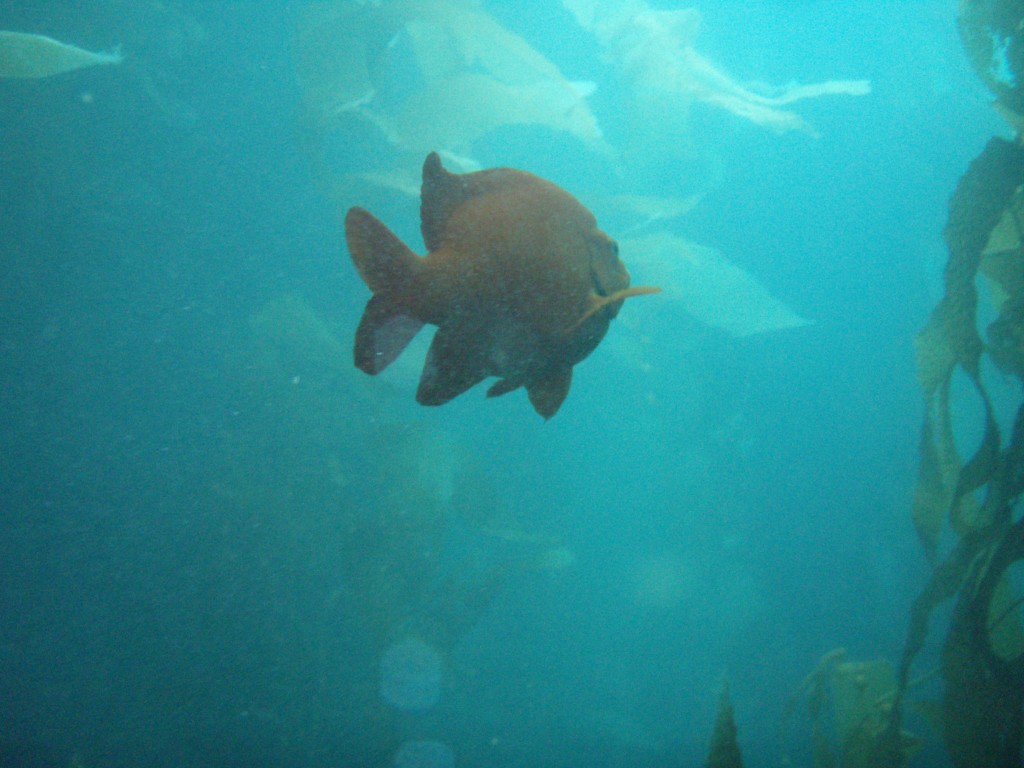 sm_p6283223.jpg