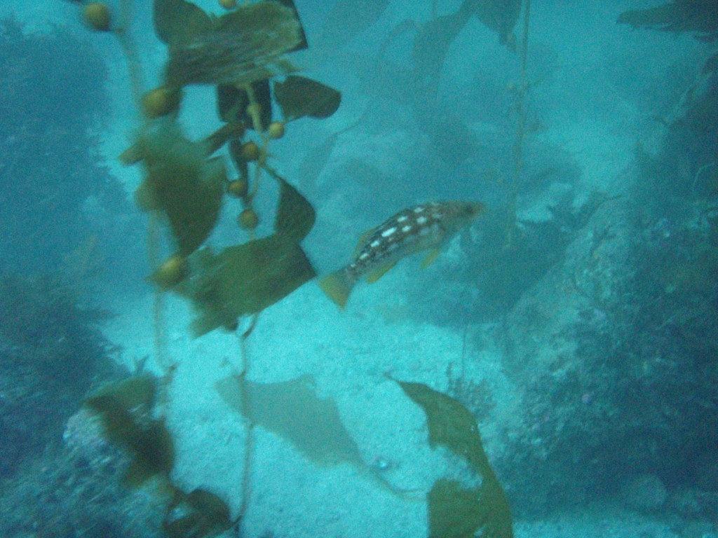 sm_p6283234.jpg