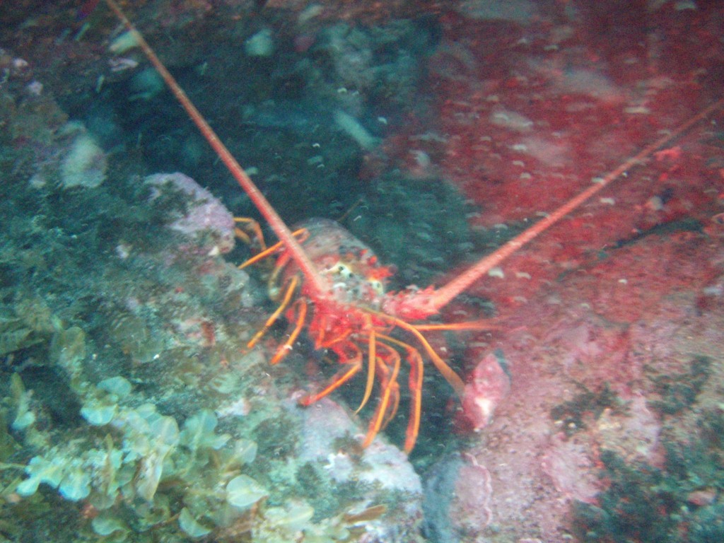 sm_p6283260.jpg