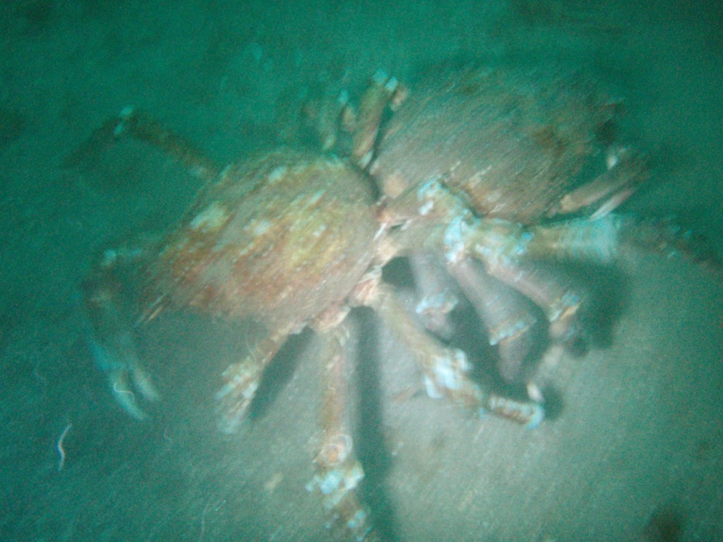 sm_p6283261.jpg