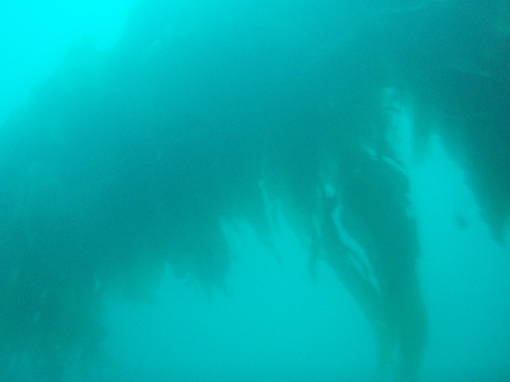 sm_p6283266.jpg