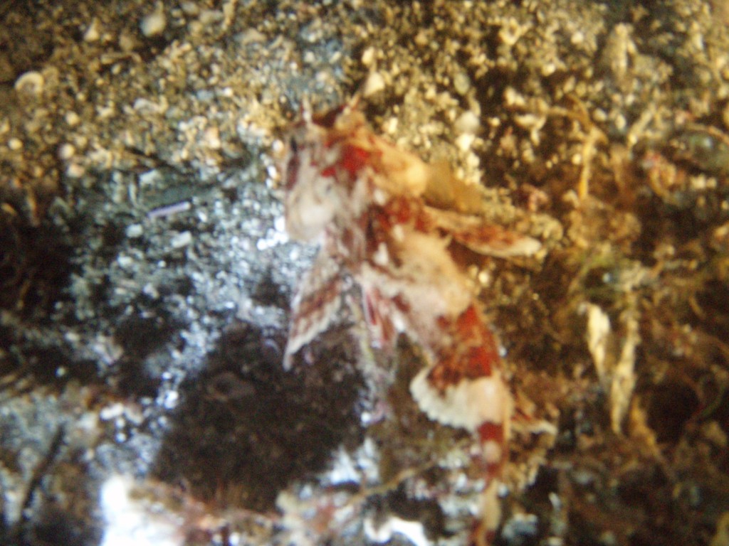 sm_p6283287.jpg
