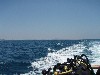 sm_p6283127.jpg