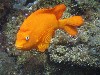 sm_p6283131.jpg