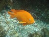 sm_p6283137.jpg