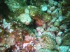sm_p6283146.jpg
