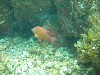 sm_p6283148.jpg