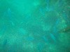 sm_p6283150.jpg