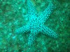 sm_p6283160.jpg