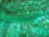 sm_p6283161.jpg