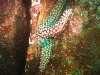 sm_p6283169.jpg