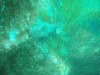 sm_p6283172.jpg
