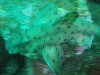 sm_p6283174.jpg