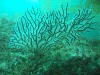 sm_p6283177.jpg