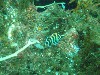 sm_p6283181.jpg