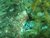sm_p6283182.jpg