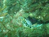 sm_p6283183.jpg