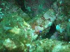 sm_p6283186.jpg