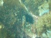 sm_p6283188.jpg