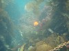 sm_p6283195.jpg
