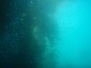 sm_p6283211.jpg