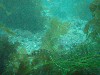 sm_p6283225.jpg
