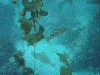 sm_p6283234.jpg