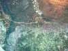 sm_p6283256.jpg