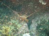 sm_p6283258.jpg