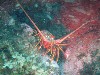 sm_p6283260.jpg