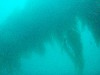 sm_p6283266.jpg