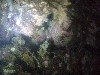 sm_p6283285.jpg